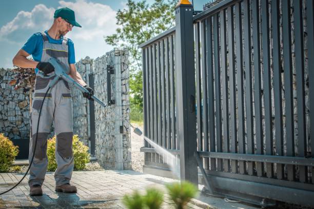 Best Roof Washing  in South Rockwood, MI